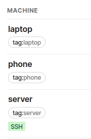 tailscale tag machines